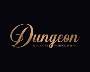 Dungeon IL logo